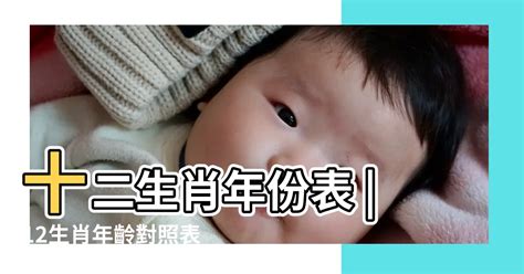 92屬什麼|十二生肖年份對照表 (西元、民國)